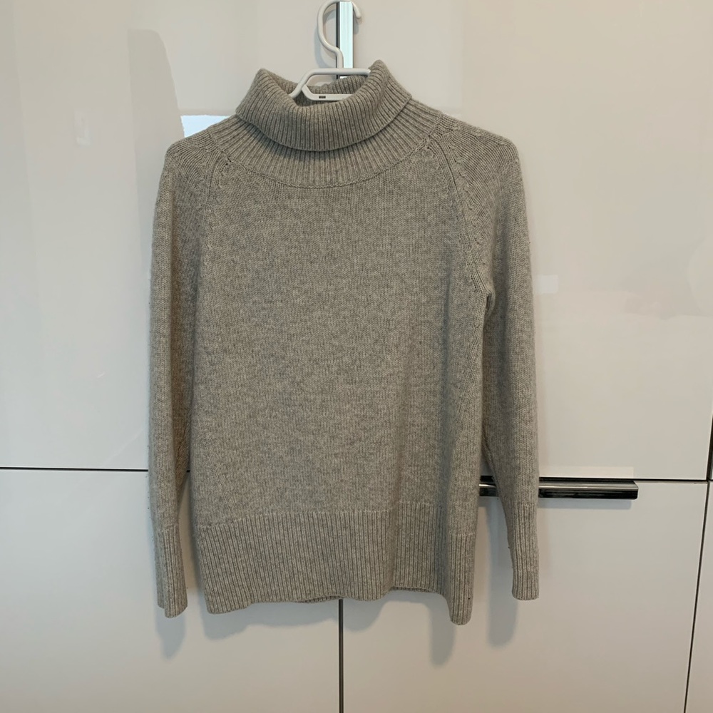 Babaton Oversized Turtleneck